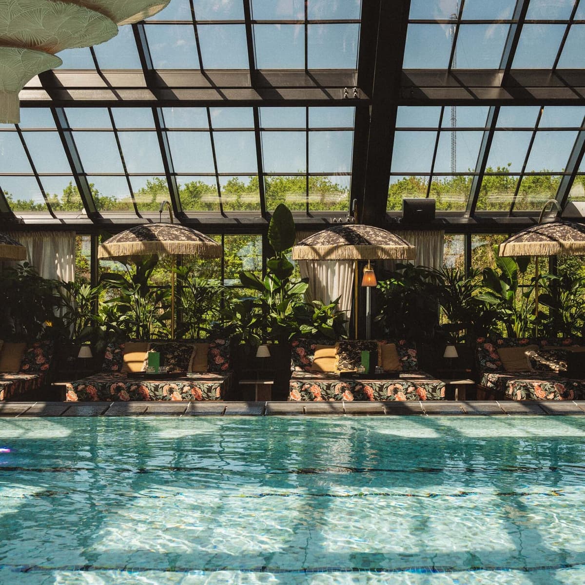 Rox Resort photo 3