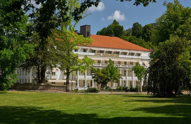 Badischer Hof - Leonardo Limited Edition photo 1