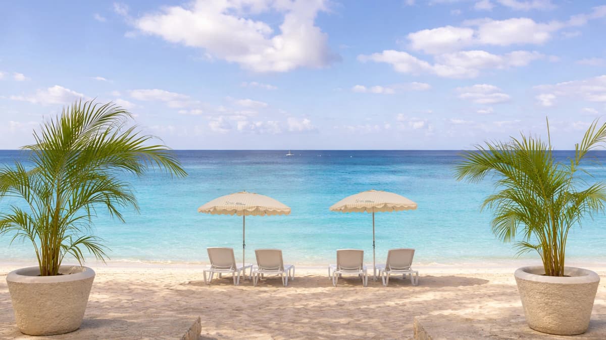 Blue Monkey Hotel & Beach Club photo 4
