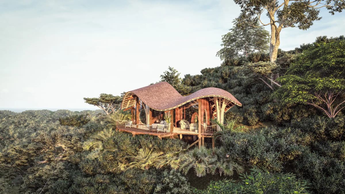 Bwindi Impenetrable Forest Erebero Hills photo 1