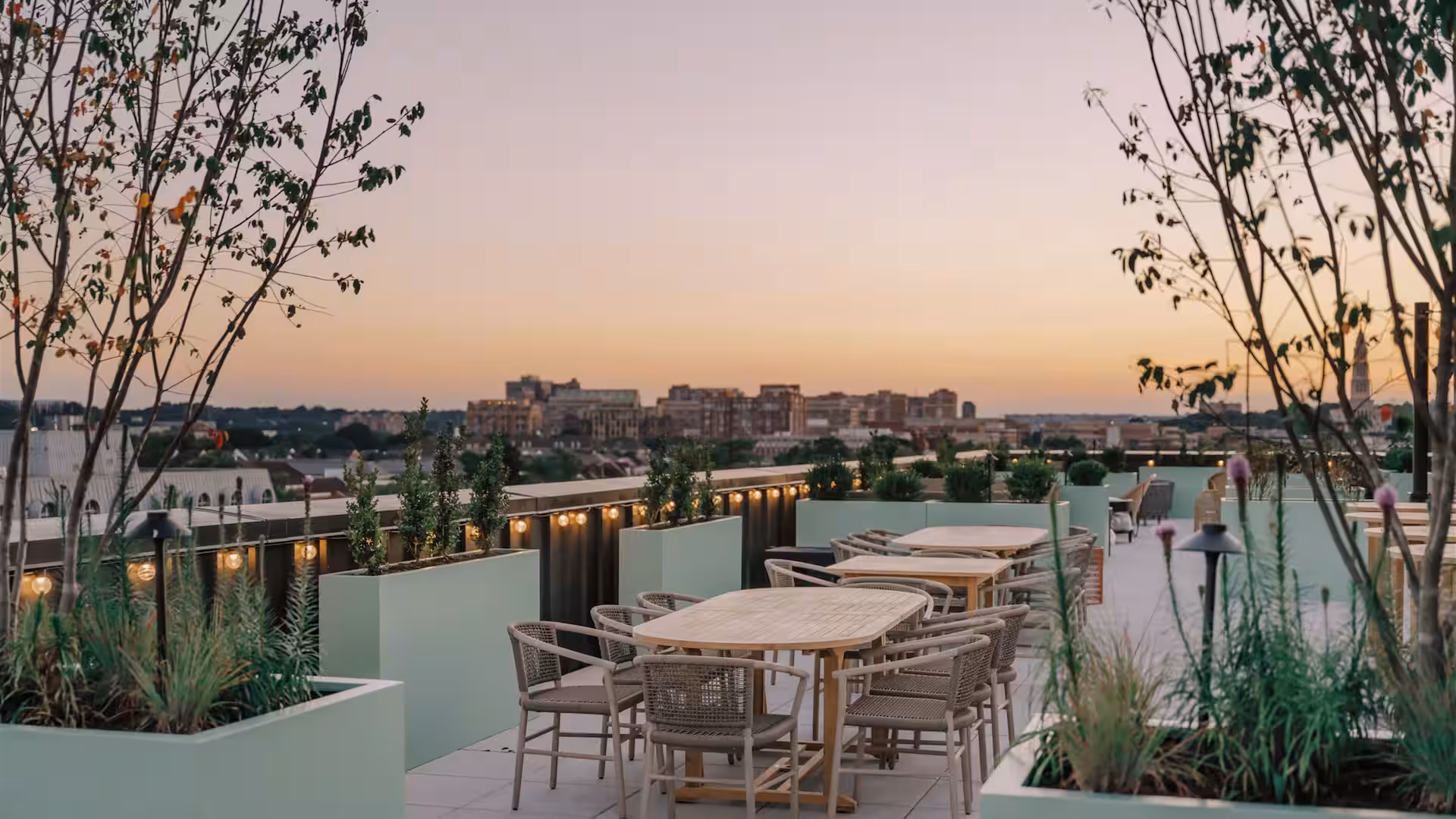Hotel Heron Alexandria Old Town, Curio Collection by Hilton photo 5