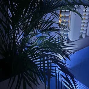 Hotel Senator 5 star photo 2