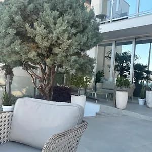 Hotel Senator 5 star photo 3