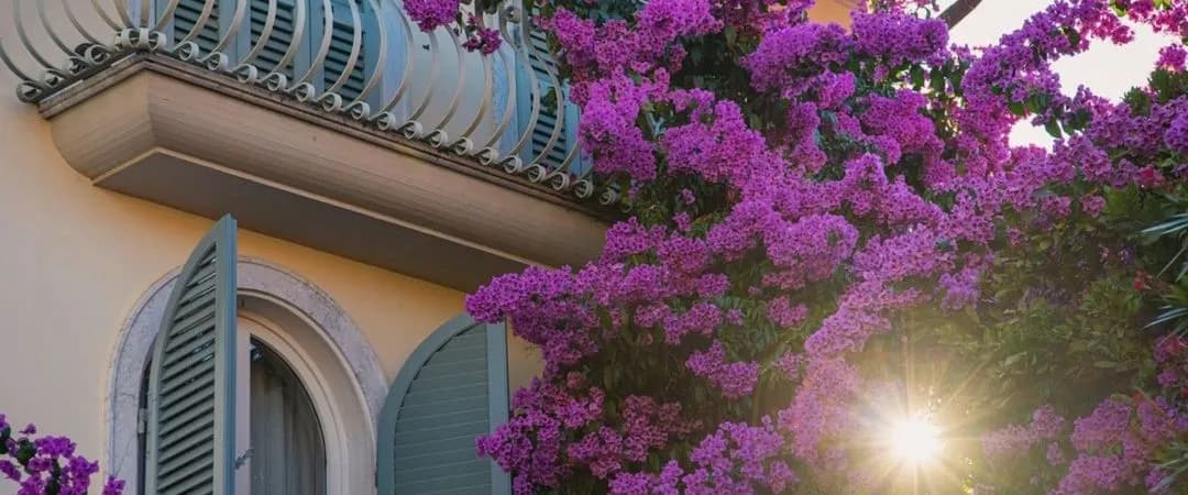 La Serena Hotel Forte Dei Marmi photo 3