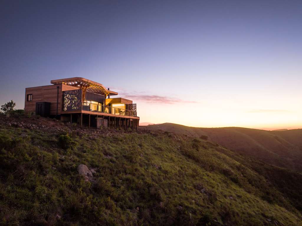 Mantis Hiddn in Addo photo 1
