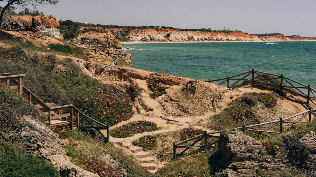 Masana Algarve photo 5