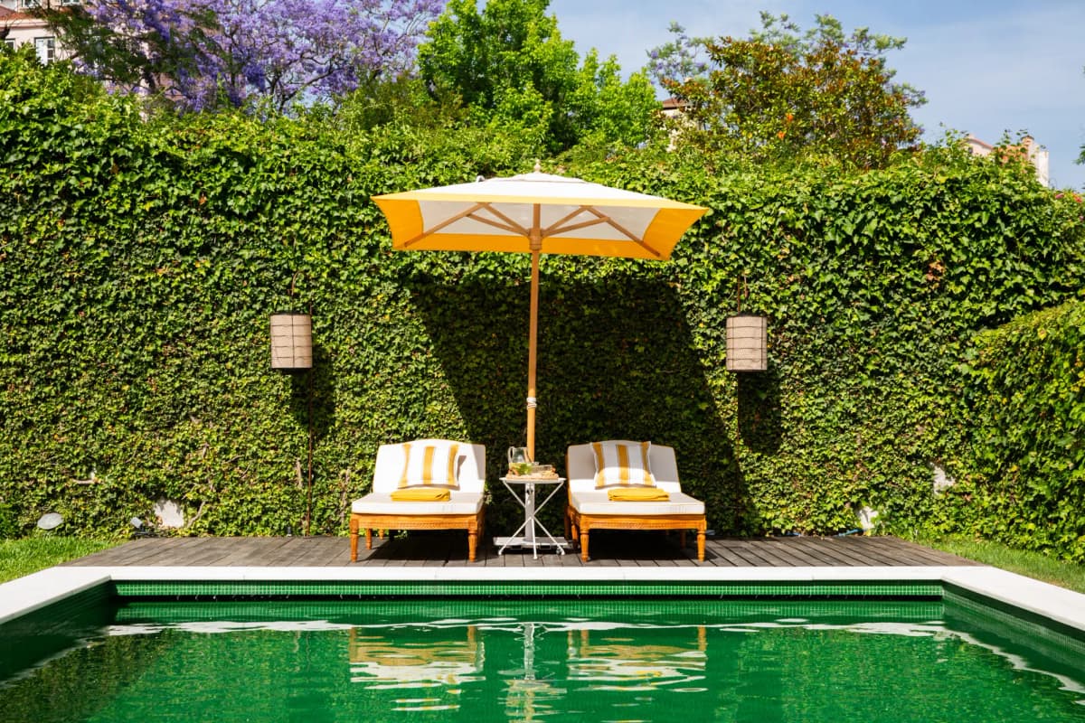 Tarabel Lisbon photo 3