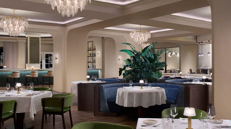 The Ritz-Carlton Key Biscayne, Miami photo 4